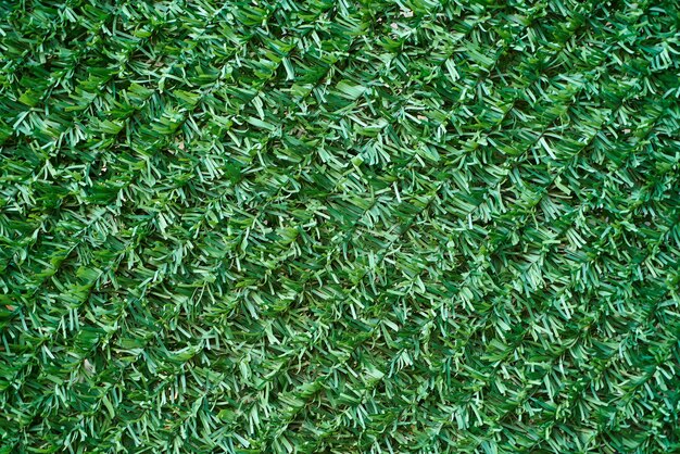 Texture of artificial grass