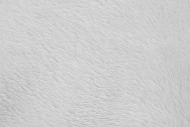 White Fur Texture Images - Free Download on Freepik