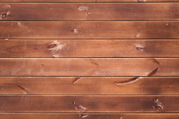 Texture of bark wood with old natural pattern