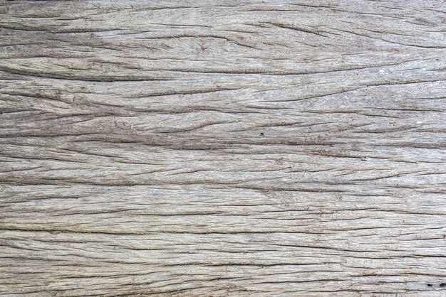Texture of crack wood