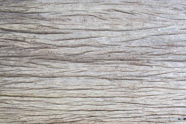 Текстура древовидной древесины