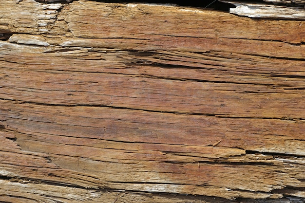 Texture of damaged wood