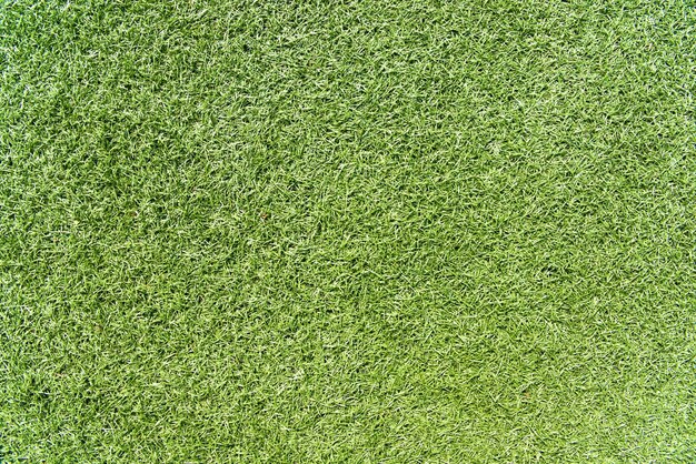 Текстура травы. Зеленый фон.
