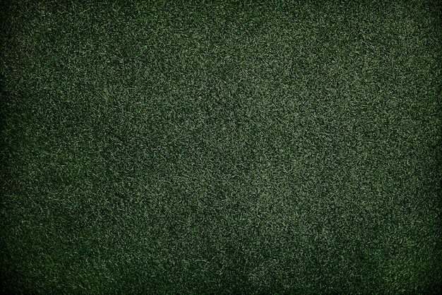 テクスチャ緑の芝の表面の壁紙のコンセプト