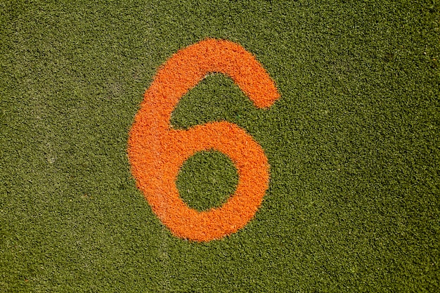 Texture of green grass with number six