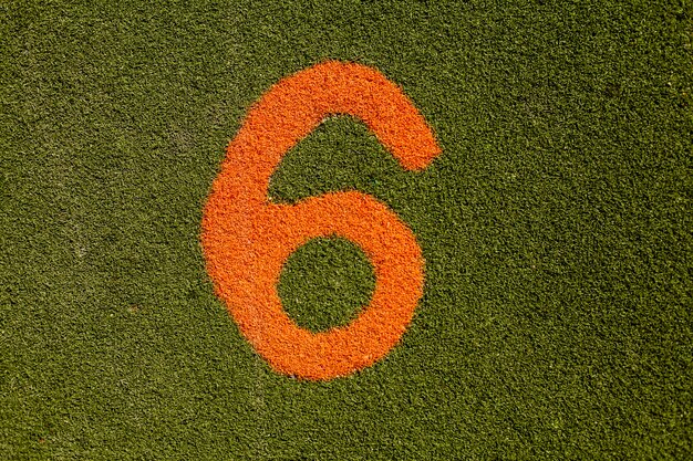 Texture of green grass with number six