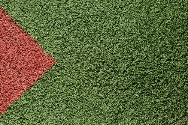 Texture of green and red grass