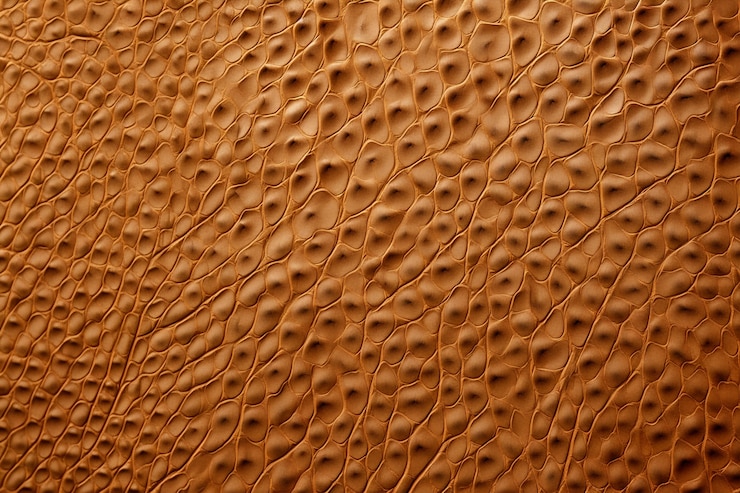 Free Photo texture of hairless animal skin