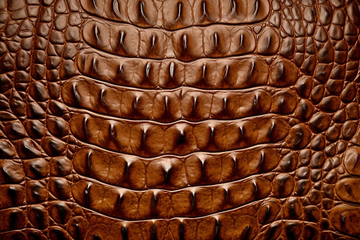 Free Photo texture of hairless animal skin