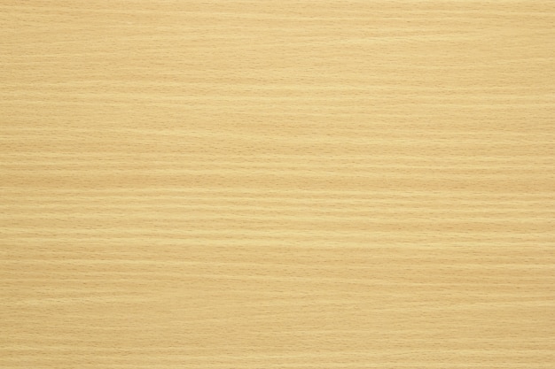 Texture of wood pattern background