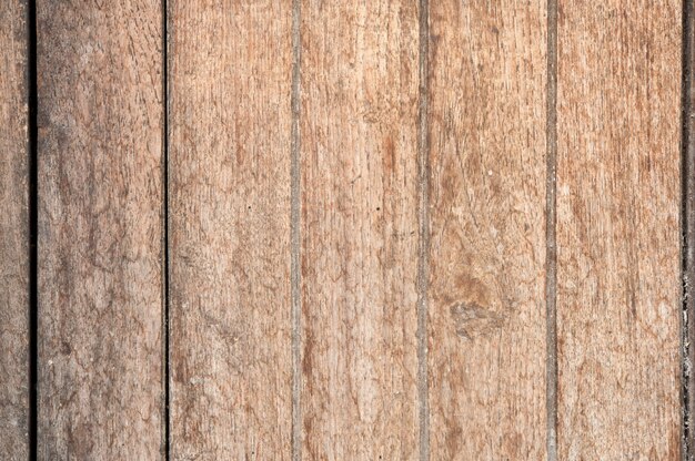 Texture of wooden boards with mold