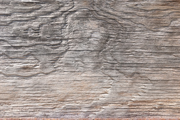 Textured wood wall background