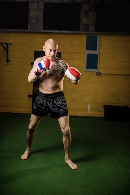 Free photo thai boxer practicing boxing