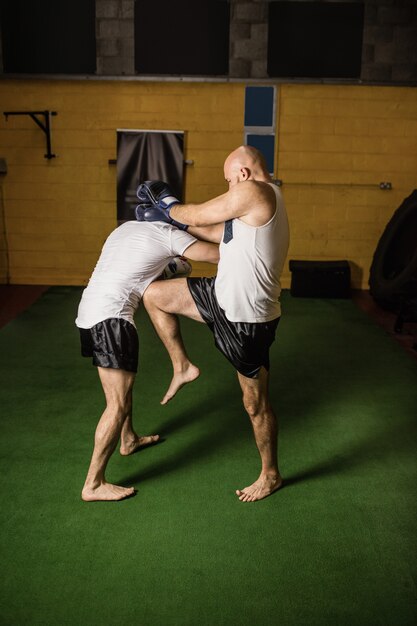 Thai boxers practicing boxing