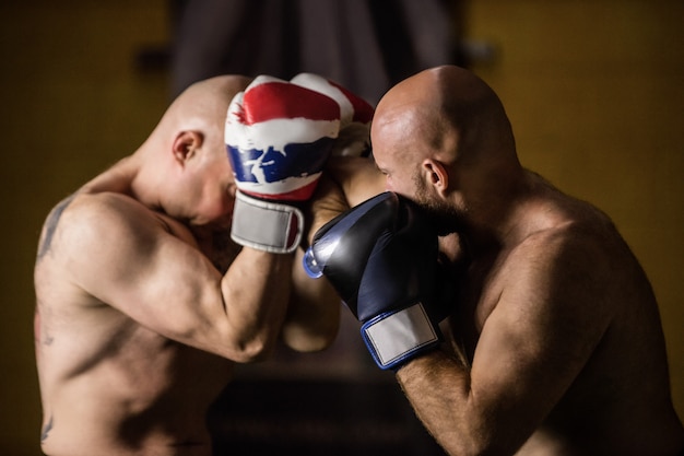 Free photo thai boxers practicing boxing