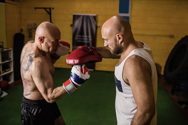 Free photo thai boxers practicing boxing