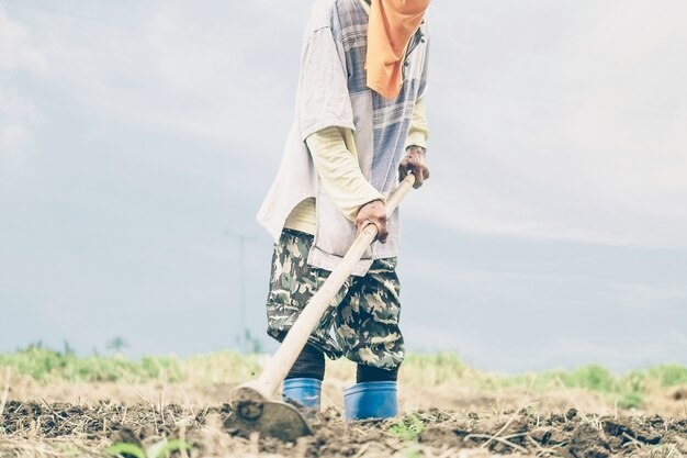 Тайский фермер мотыгает свою сельскохозяйственную землю