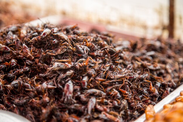 Thai traditional street food grasshoppers,larvae ,market counter ,the concept of the traditional exotic food