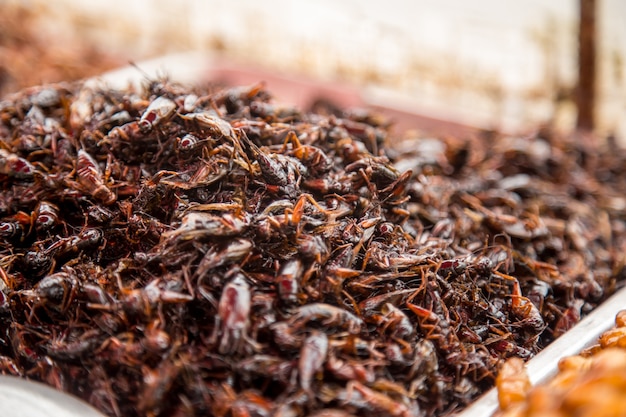 태국 전통 길거리 음식 메뚜기, 애벌레, 시장 카운터, 전통 이국적인 음식의 개념