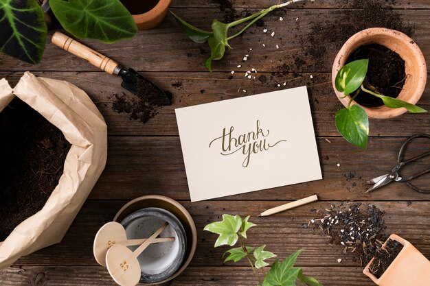 Thank you note in houseplant background