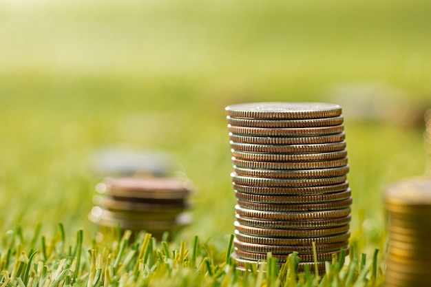 Бесплатное фото Колонны монет на траве