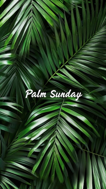 무료 사진 얽힌 종려나무 배경에 있는 종려주일(palm sunday)이라는 문구는 수직 포스터를 남깁니다.