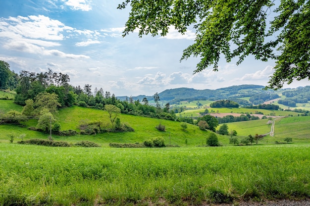 Бесплатное фото Оденвальд в германии - это чистая природа