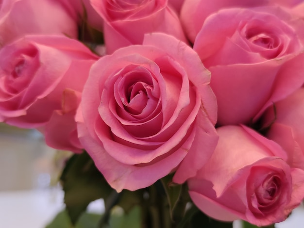 ピンクの花柄の壁紙 無料のベクター ピンクの花柄の壁紙 無料のベクター