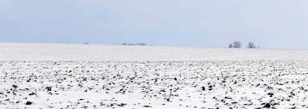 耕された土のある冬の畑は最初の雪で覆われています
