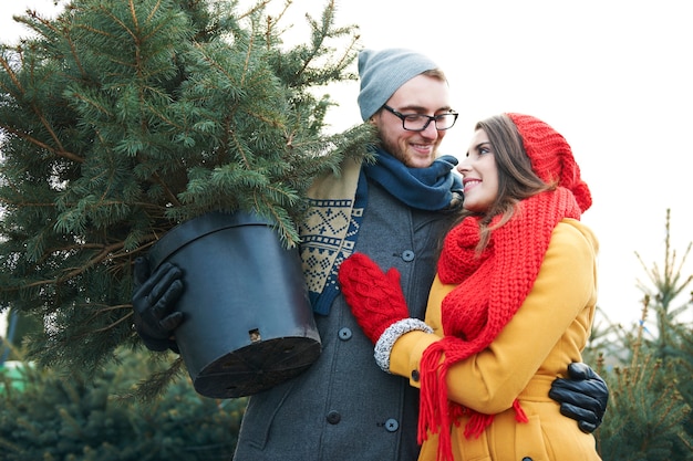 Hanno trovato l'albero di natale perfetto