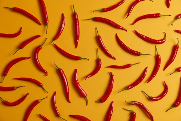 향신료, 소스 또는 요리를 만들기위한 노란색 배경에 얇은 긴 붉은 칠리 페 퍼. 지방 연소, 체중 감소 및 건강한 영양을위한 신선한 뜨거운 야채 혼합. 음식과 재료 개념