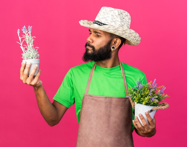 ピンクの壁に隔離された植木鉢の花を保持し、見ているガーデニングの帽子をかぶっている若い庭師のアフリカ系アメリカ人の男を考える