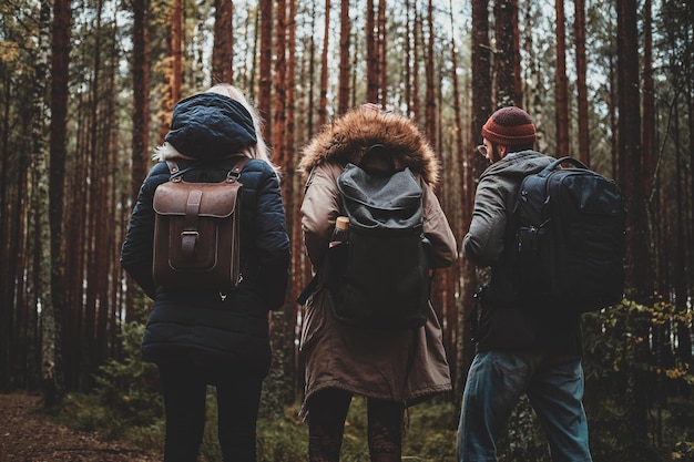 3人の親友がバックパックを持って秋の松林をハイキングしています。