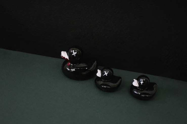 Free Photo three black ducks