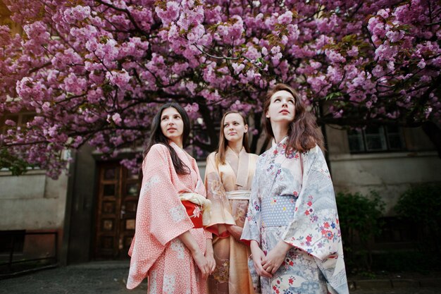 Three european girls wearing traditional japanese kimono background blossom pink sakura tree