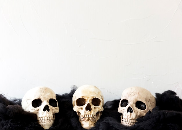 Free photo three fake skulls on soft material