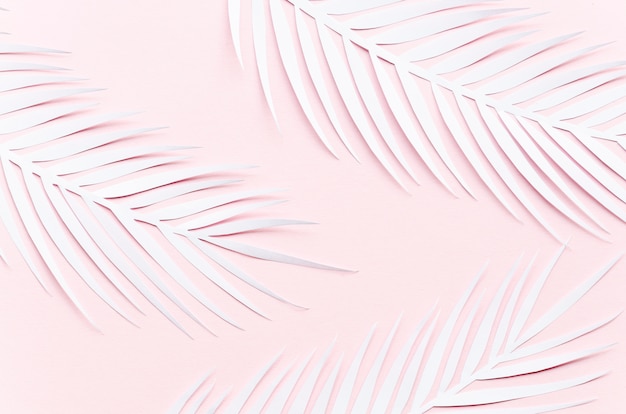 Three paper palm leaves on pink table