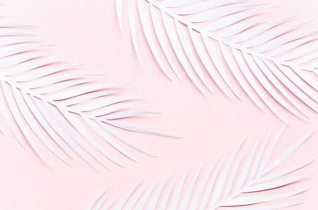 Три бумажные пальмовые листья на розовом столе