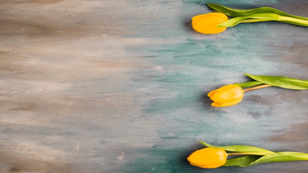 Three tulip flowers on grey table