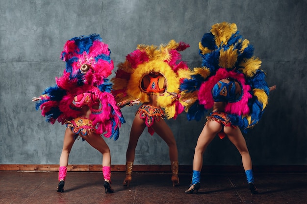 Three woman in brazilian samba carnival costume with colorful feathers plumage.