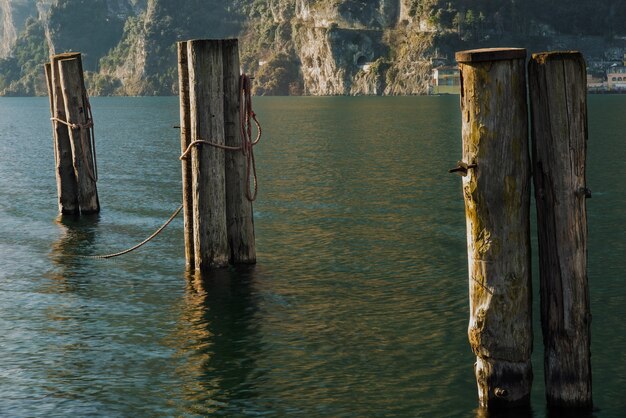 Three wooden poles in the water