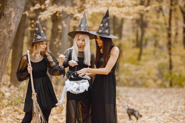 Три молодые девушки-ведьмы в лесу на Хэллоуин. Девушки одеты в черные платья и конусообразные шляпы. Ведьма держит магические вещи.