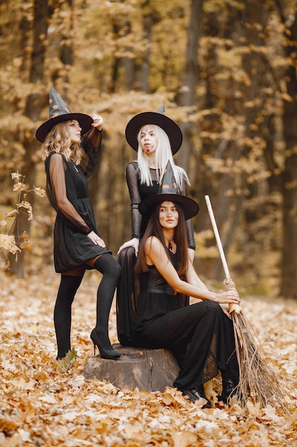 Three young girls witches in forest on Halloween. Girls wearing black dresses and cone hat. Witches holding a broom.