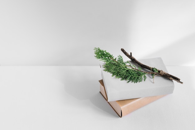 Thuja branch on white and brown books over background