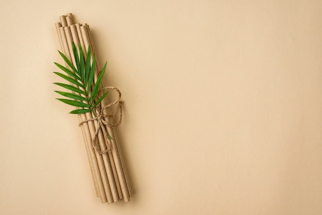 Tied bamboo organic straws and leaves copy space