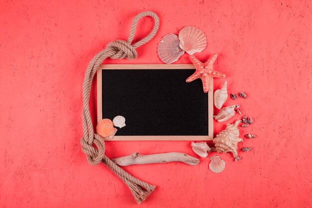 Tied rope; seashells; wood with blank blackboard on coral textured background