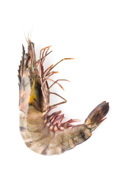 Free photo tiger prawn shrimp