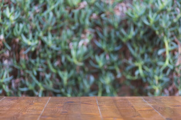 Timber tabletop near plant wall