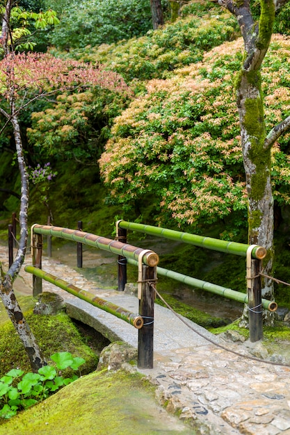 tiny bamboo bridge in japan autumn