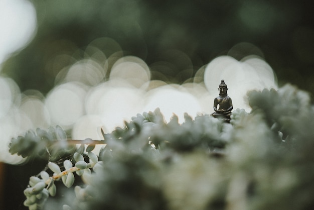 Tiny buddha statue in the middle of a cacti plan  in the garden